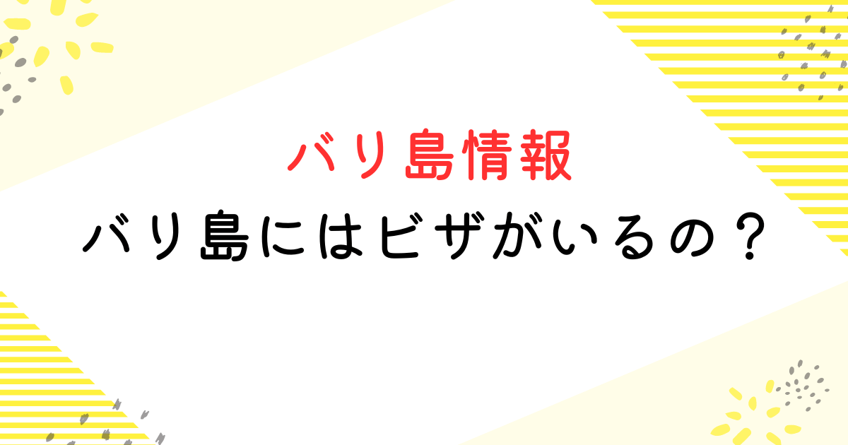 バリ島 ビザ